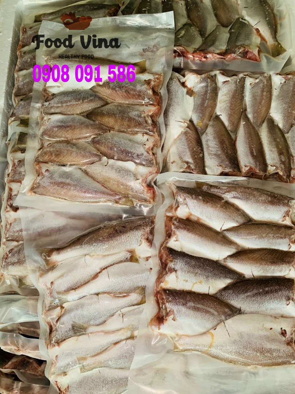 Cá đù nguyên con