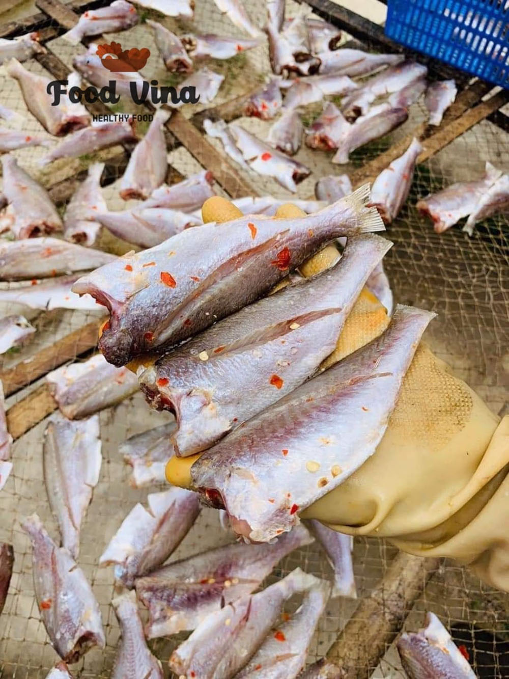 Quy trình phơi cá đù tại Foodvina