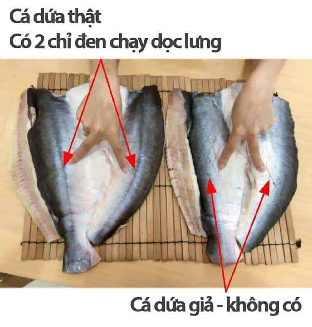 Cách phân biệt cá dứa thật giả