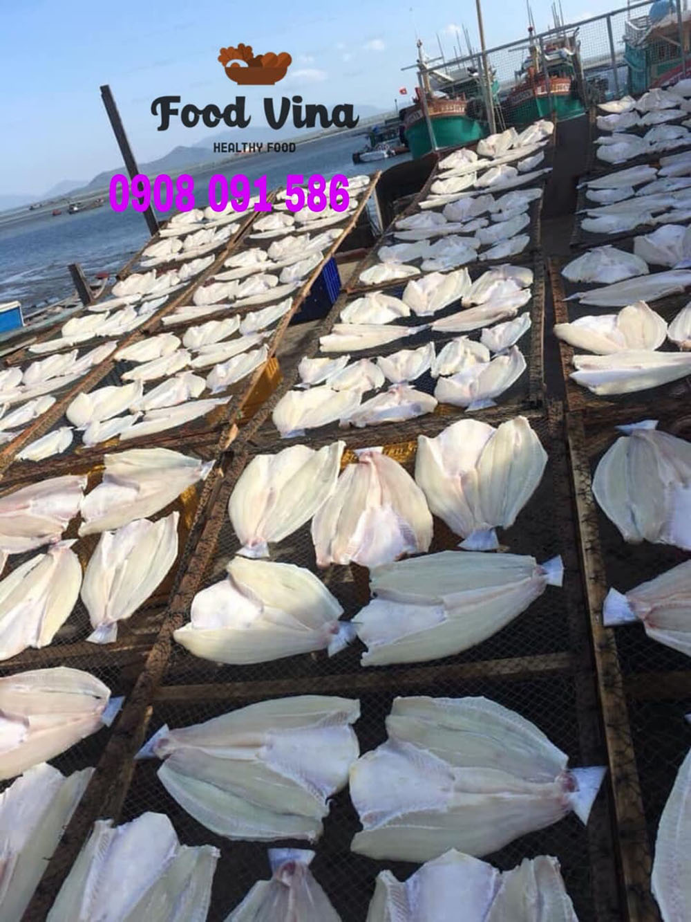 Quy trình phơi cá dứa tại Foodvina