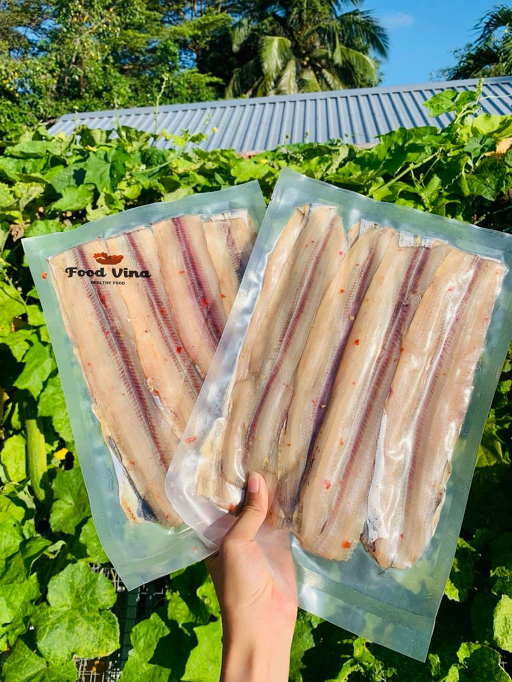 Cá hố 2 nắng đóng gói hút chân không