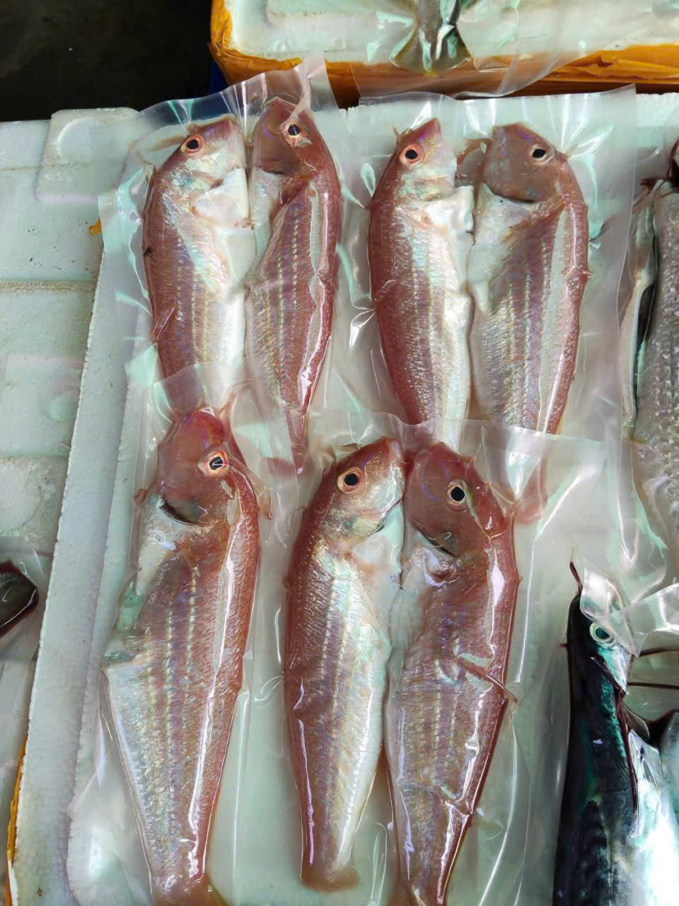 Cá phèn hồng đóng gói hút chân không