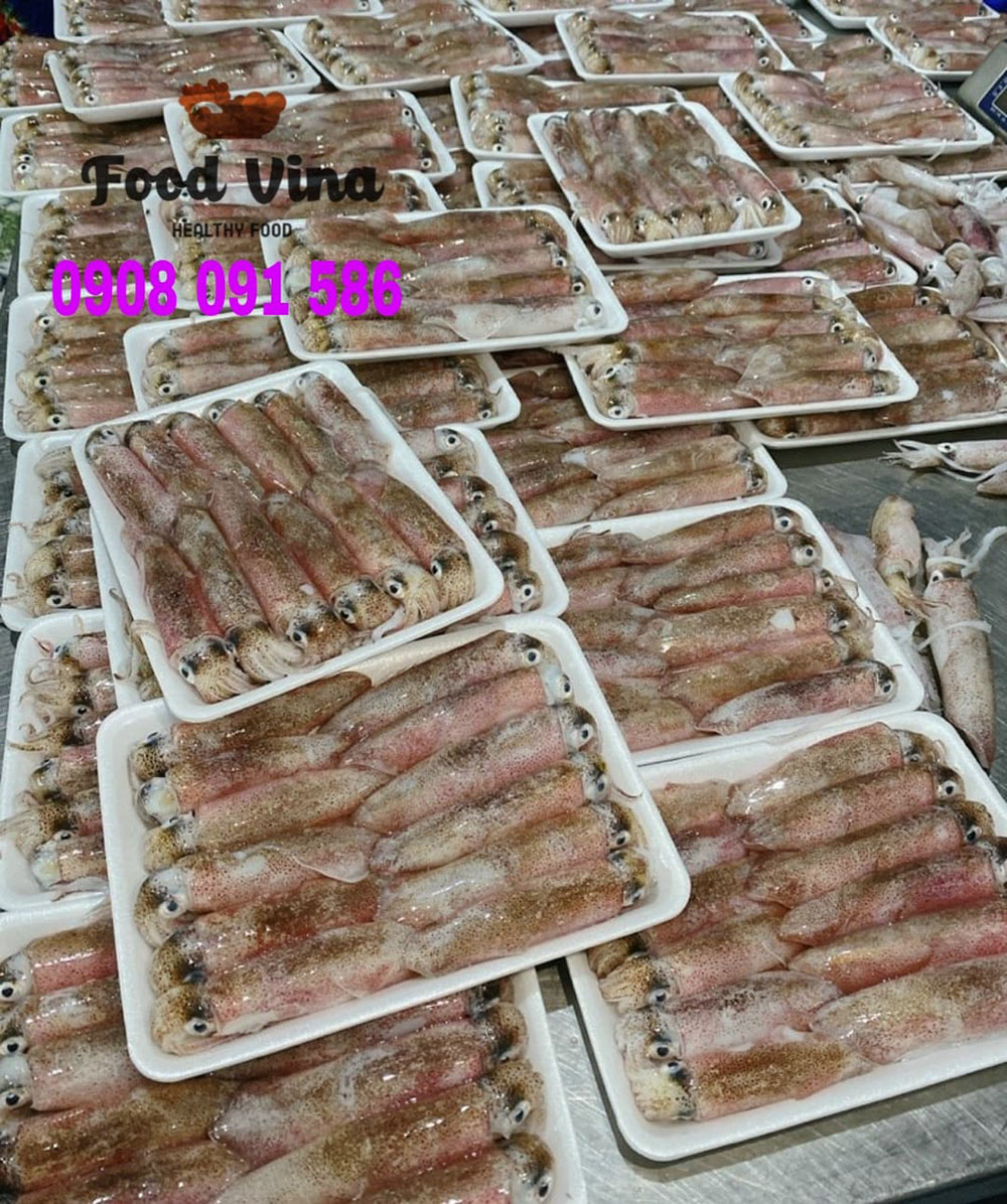 Mực ống mi nơ tươi