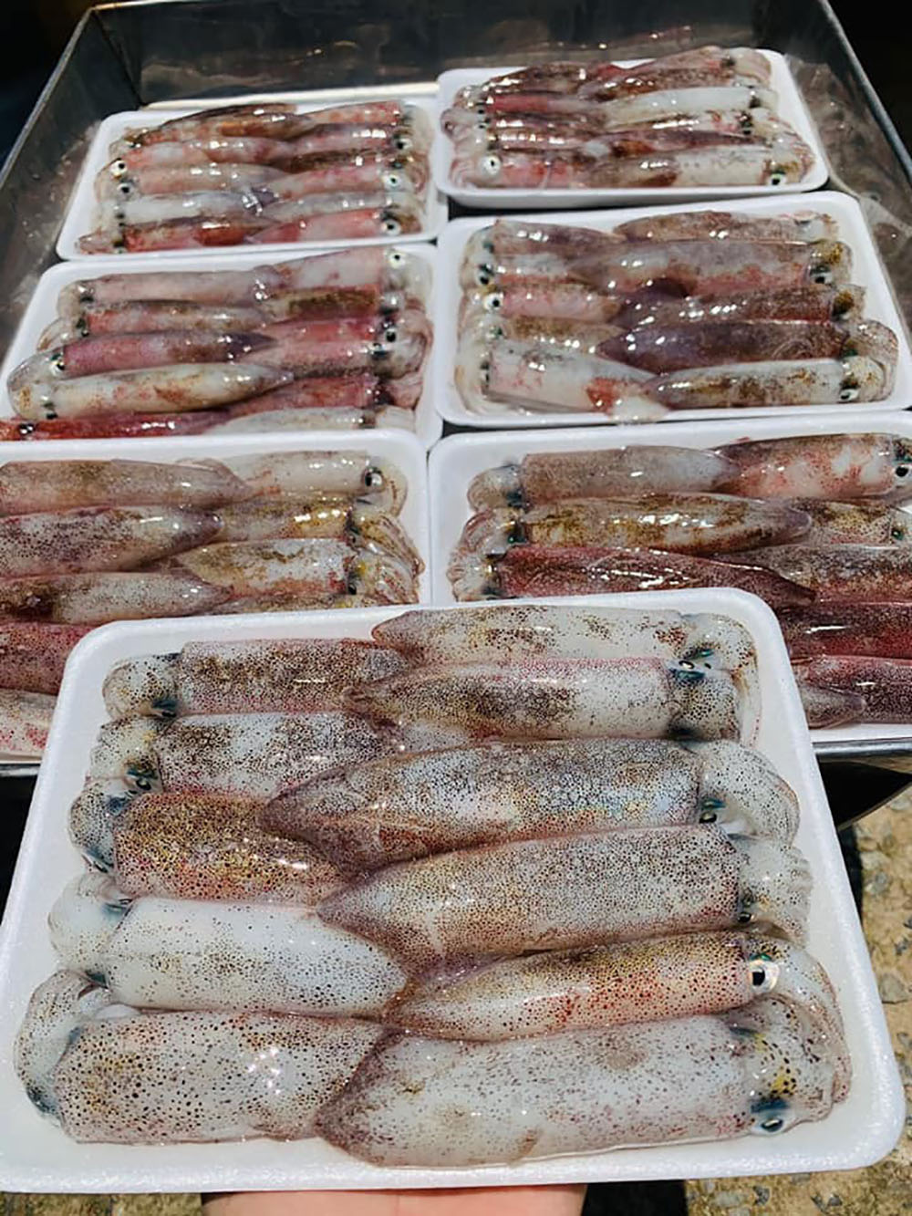 Mực ống mi nơ ra khay 500g