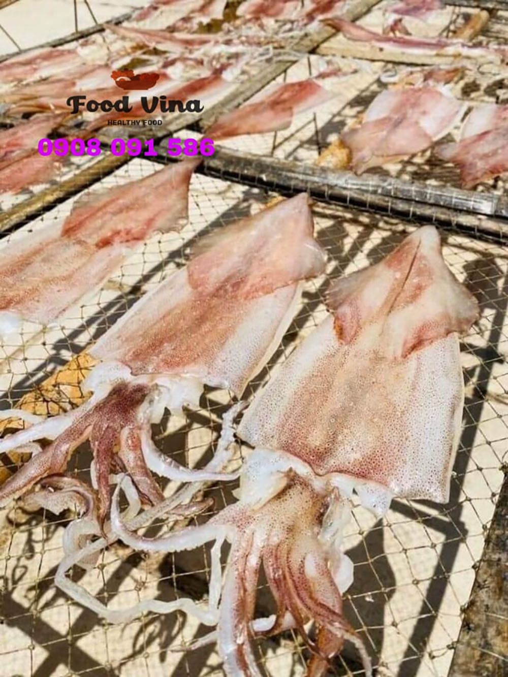 Quy trình phơi mực ống một nắng